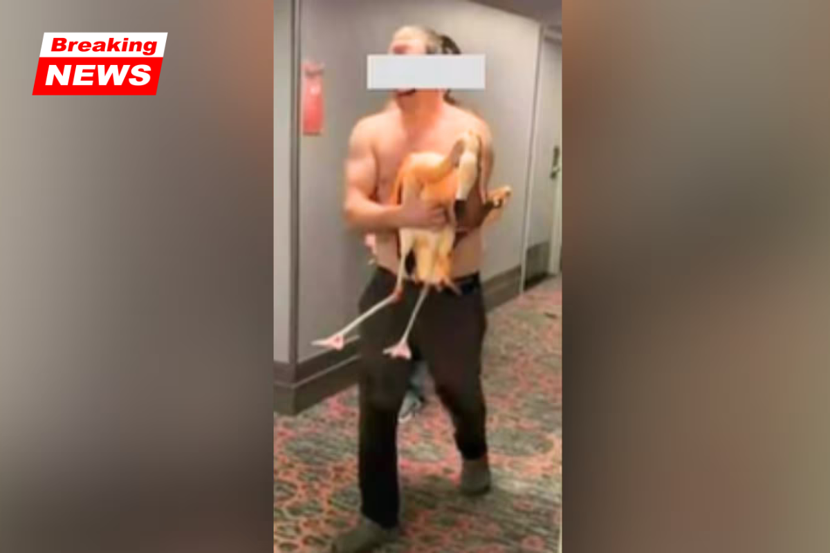 A Canadian Man Was Detained at a Hotel in Las Vegas for Hurting Famous Flamingos