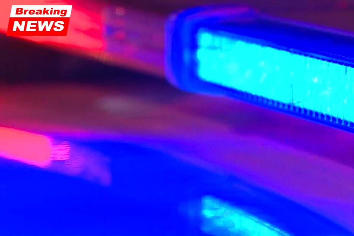 Fannin County, Murder-Suicide, Texas, Trenton, Law Enforcement, Investigation