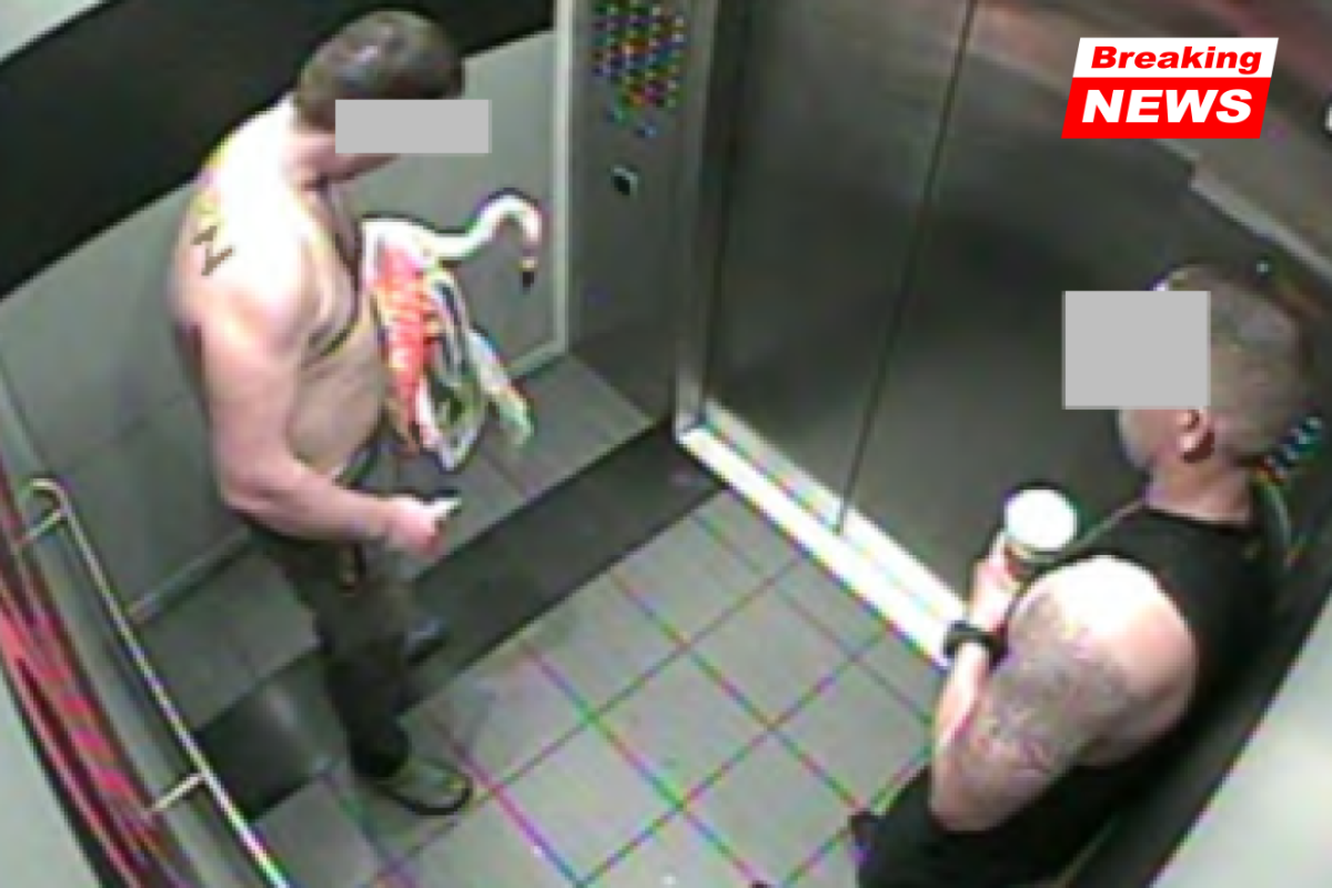 Canadian man arrested for injuring renowned flamingos at a Las Vegas hotel