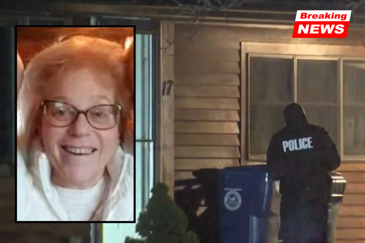 'Looked right in my eyes': Woman describes seeing high school senior who allegedly butchered 68-year-old ICU nurse because he 'wanted to kill someone for a long time'