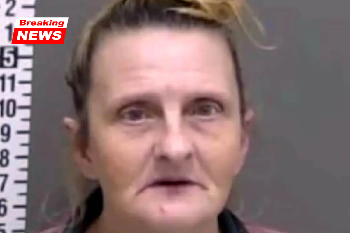 Grandmother claims she was wrongfully sentenced for a crime in another state due to a facial recognition software error