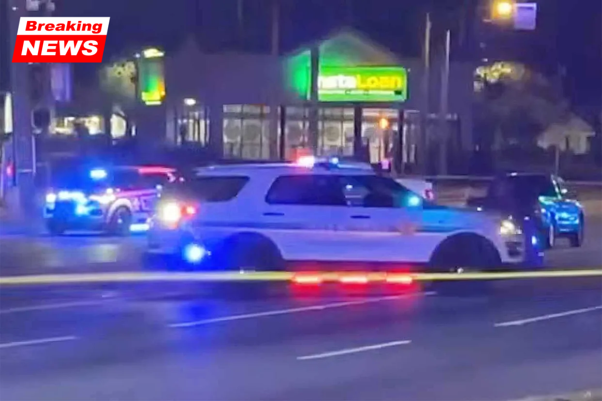 A man in a wheelchair and his dog are killed in an alleged hit-and-run, while a woman fights for her life