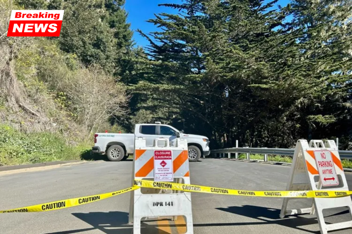 A 39-year-old surfer was seriously injured in both legs by a shark off the California coast