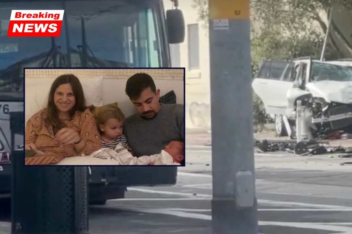'Simply going to the zoo': 80-year-old driver who killed family of four as they waited for the bus while celebrating anniversary avoids prison term