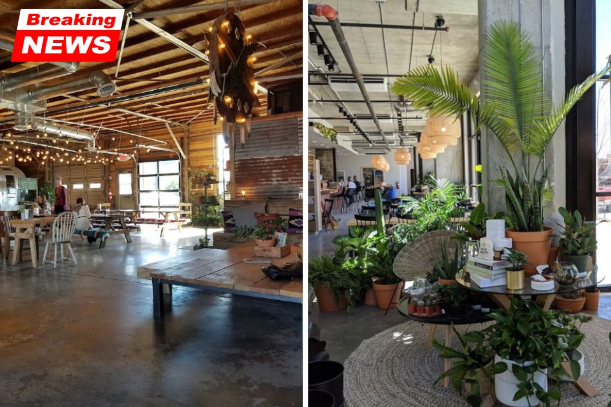 Enjoy coffee while surrounded by lush botanical beauty in this hidden oasis in Oklahoma