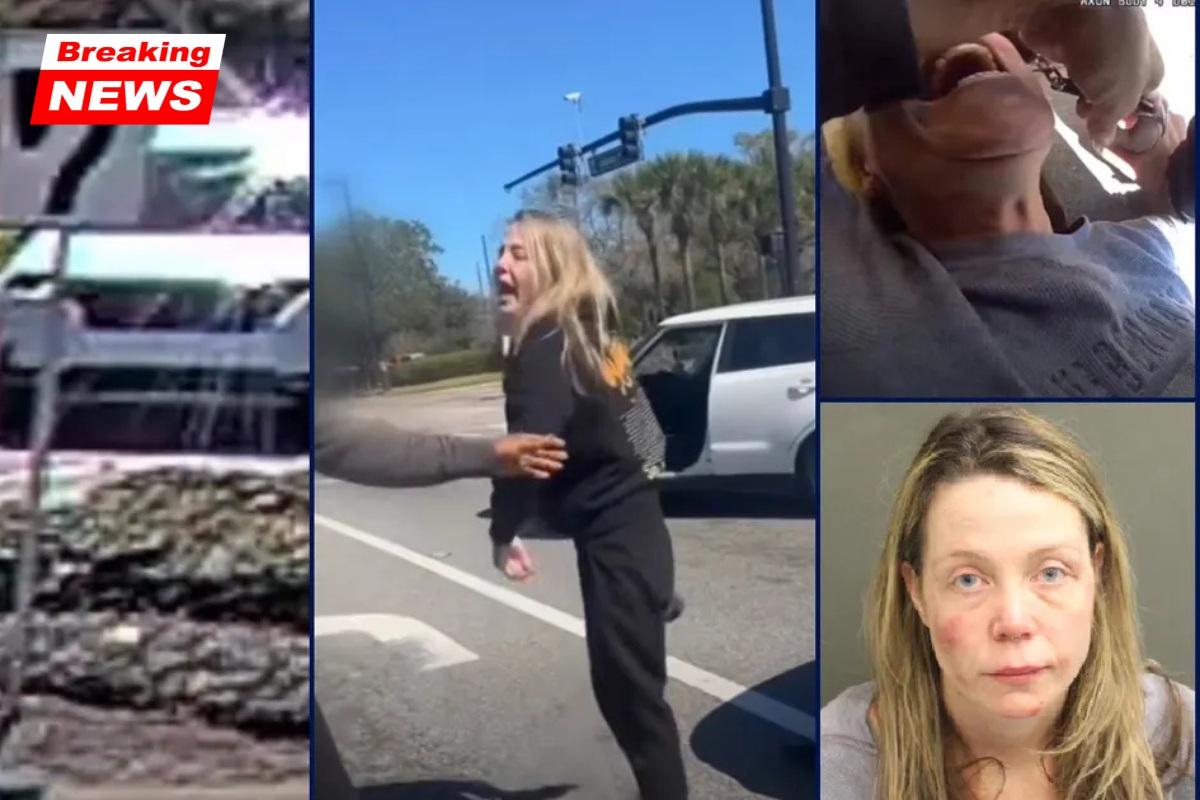In a road rage rampage, an insane Florida woman bites a police officer, assaults an elderly bystander, and beats a pregnant driver