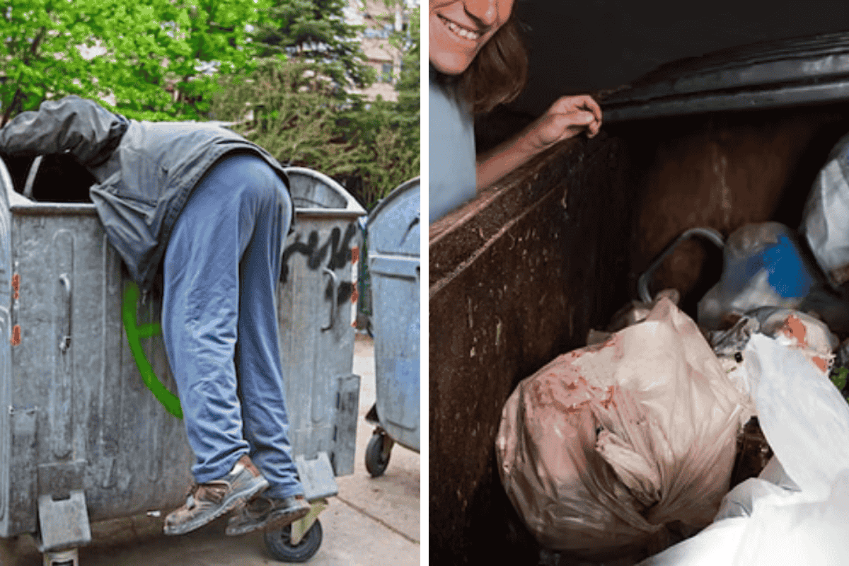 Is It Illegal to Dumpster Dive in Vermont Here’s What the Law Says