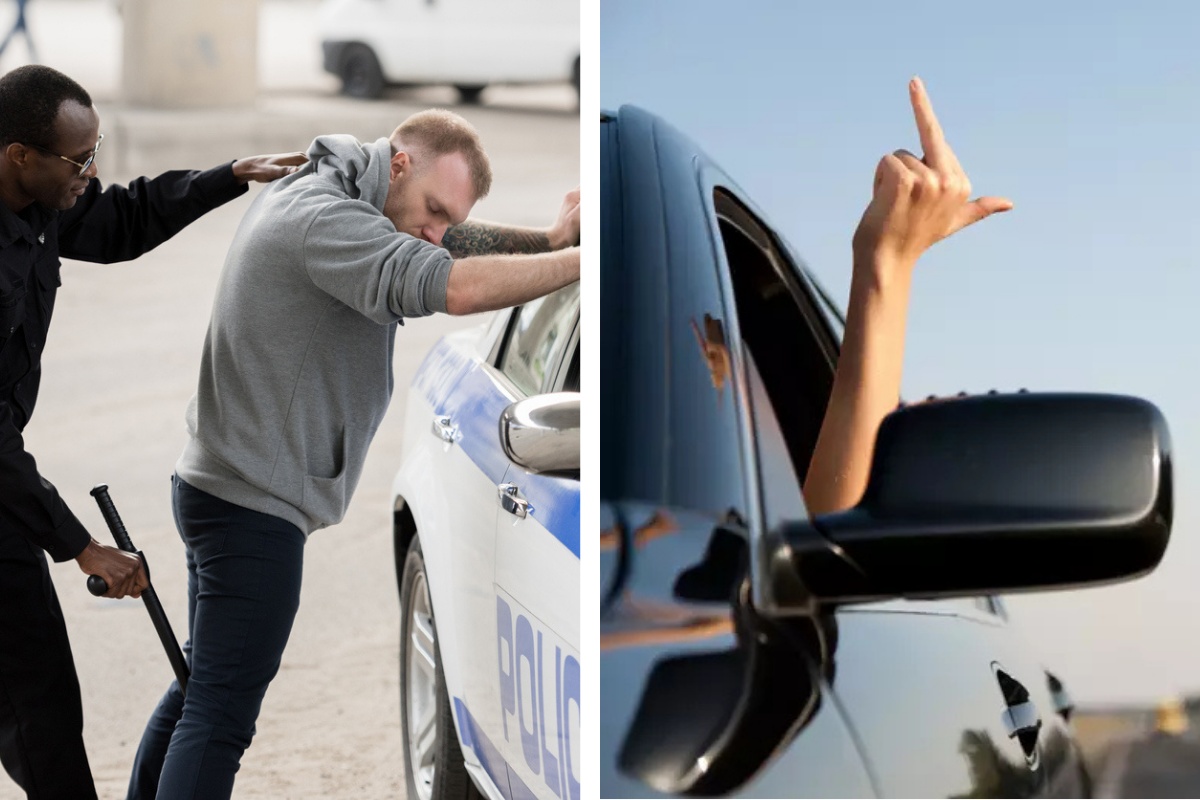 Is It Illegal to Flip Off a Cop in Michigan? Here's What the Law Says