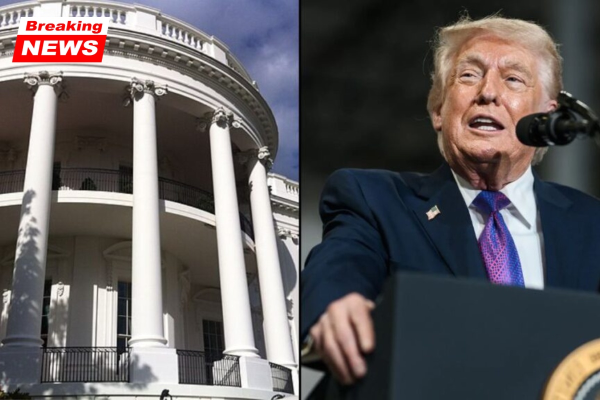 Trump is thinking of replacing the 200-year-old ionic columns in the White House; critics call this "completely inappropriate"