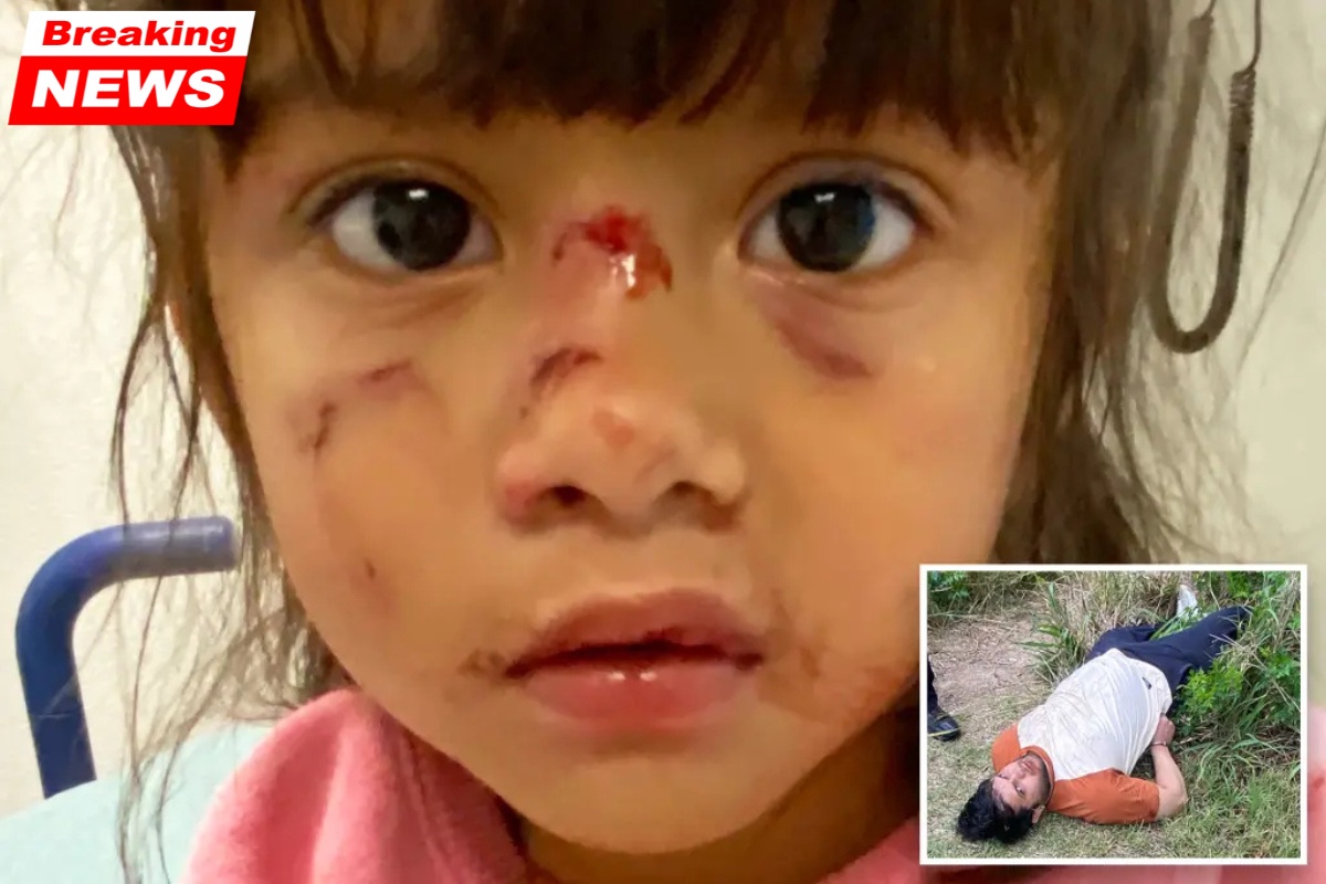 A 3-year-old is attacked by an illegal immigrant "cannibal," and the Biden administration botched a "completely preventable" attack: DHS
