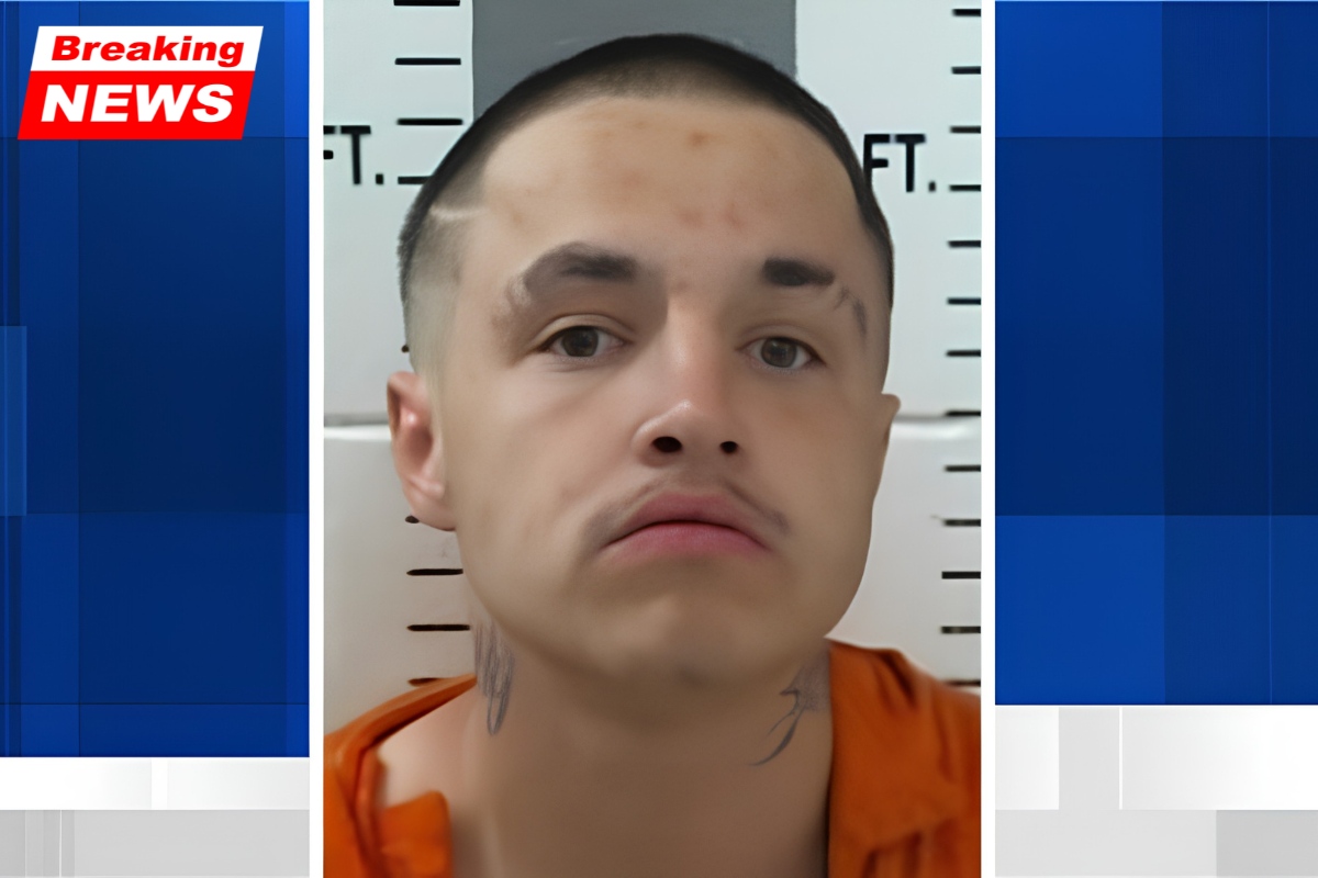A man was detained and charged with car theft and attempted break-ins at a nightclub in Ardmore