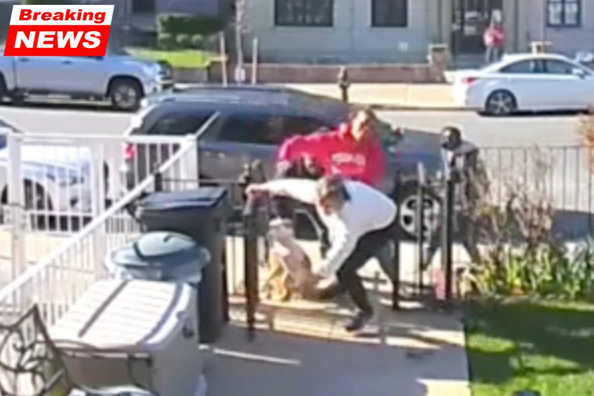 A neighboring Navy veterinarian intervenes after a 75-year-old NYC grandma is viciously attacked over a dog poop cleanup request video
