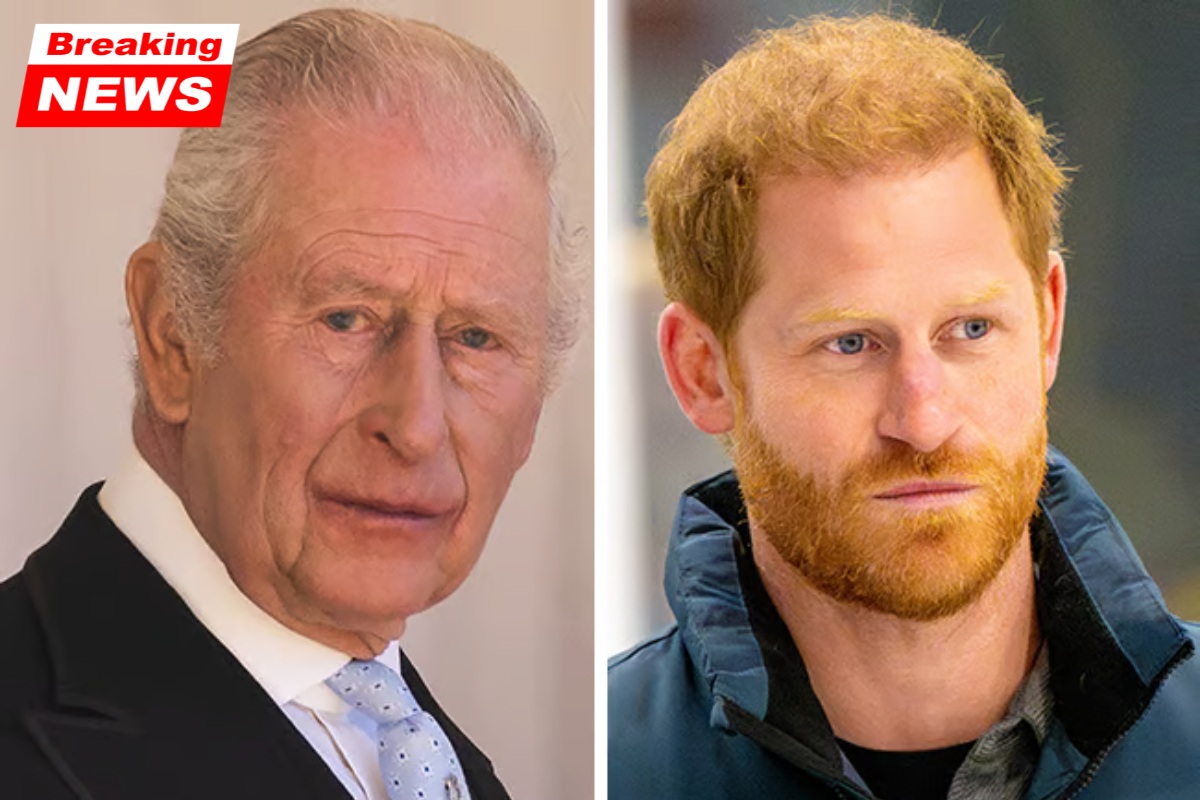 According to reports, Prince Harry's "calculated" move to use his grandchildren as a "bargaining tool" to obtain a "enhanced security package" during reconciliation talks has "horrified" King Charles