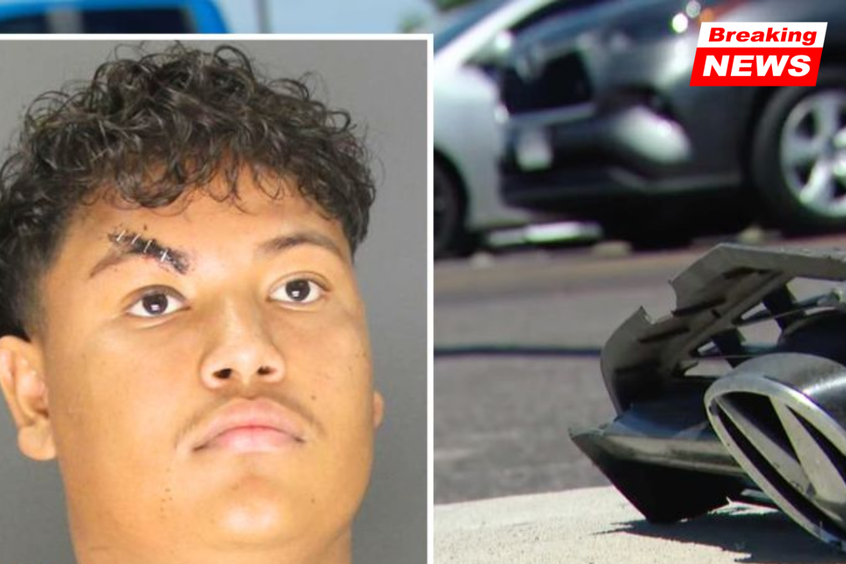 A mother and daughter on their way home from delivering newspapers were crushed by an Audi driver going through a red light at 121 mph