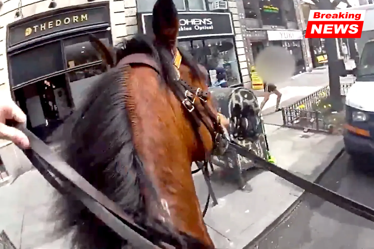 NYPD mounted officer chases woman accused of stealing purse in dramatic Manhattan pursuit
