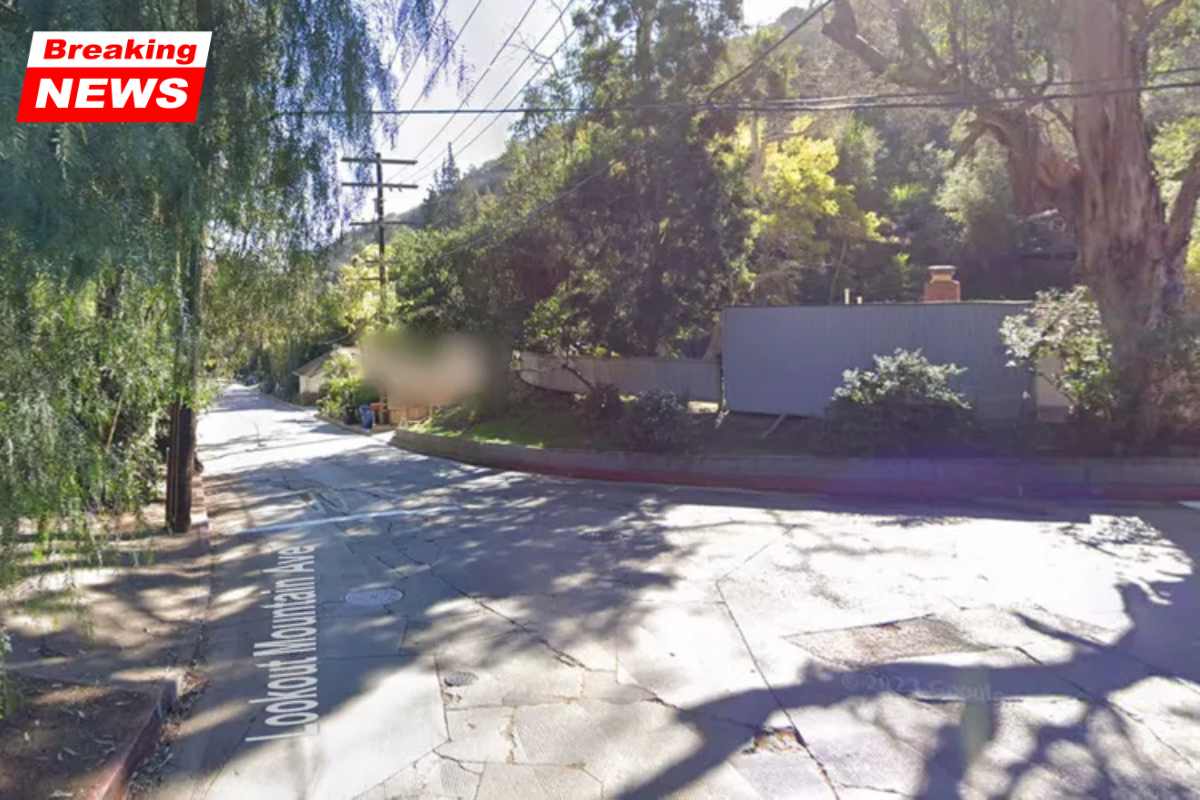 A Budget Rent a Car Heiress is alleged to have been robbed, beaten, and strangled by masked men inside her Hollywood Hills estate