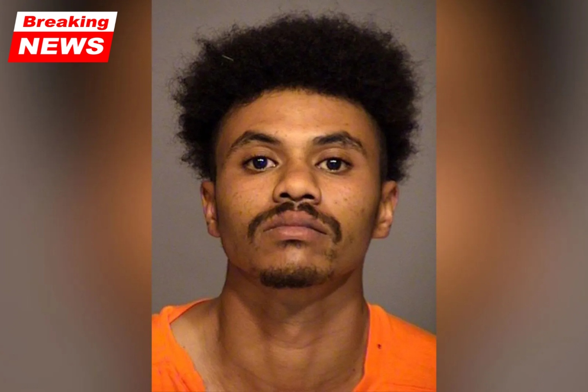 Heard a loud thud': Uncle caught his nephew using a pickaxe to murder his own fifteen-year-old brother in a shed