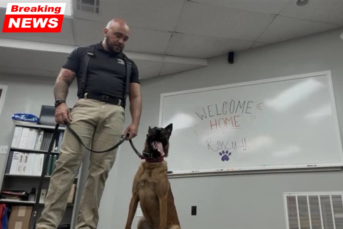 A dog that can detect mold aids homeowners in Bartlesville discover hidden issues