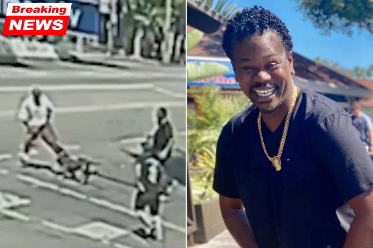 A man attempted to defend himself from a pit bull on the Hollywood Walk of Fame, and four suspects allegedly beat and stabbed him to death