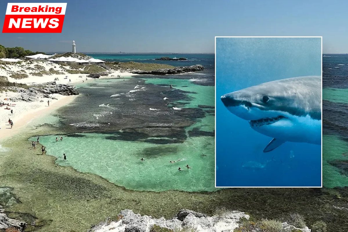 A man died after being attacked by a 13-foot great white shark near a popular island resort, according to officials