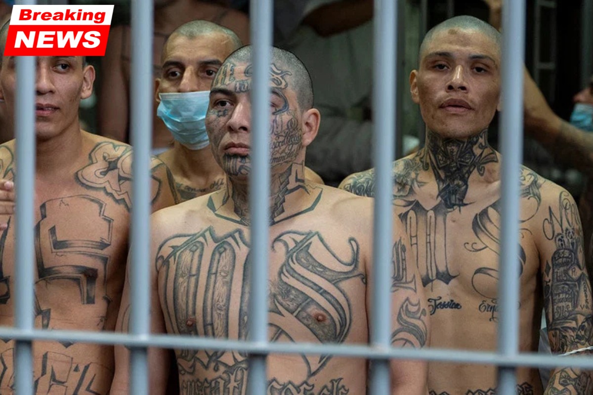 A nationwide Tren de Aragua crackdown involving firearms, drugs, and cash has resulted in over 25 charges