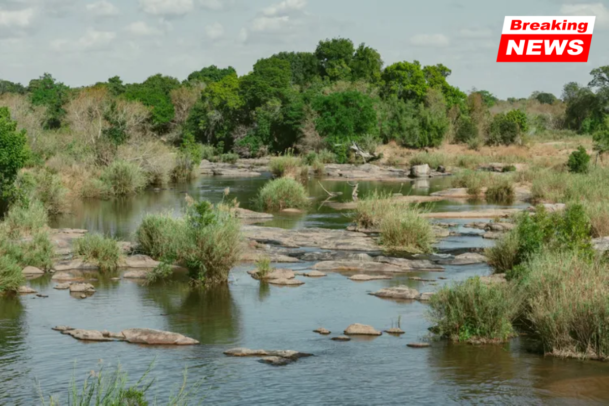 Retired couple on vacation found stabbed and their bodies thrown into crocodile-infested river after possible encounter with poachers