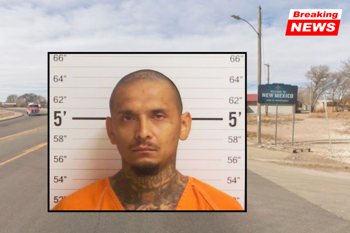 'I needed to be caught': Man killed woman who was gathering evidence to put him in jail, police say