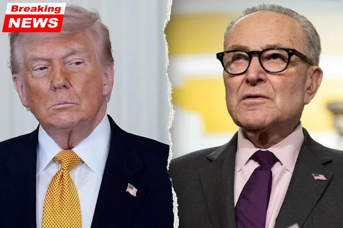 Donald Trump accuses Schumer of attempting to 'interfere in our elections' with their latest strategy