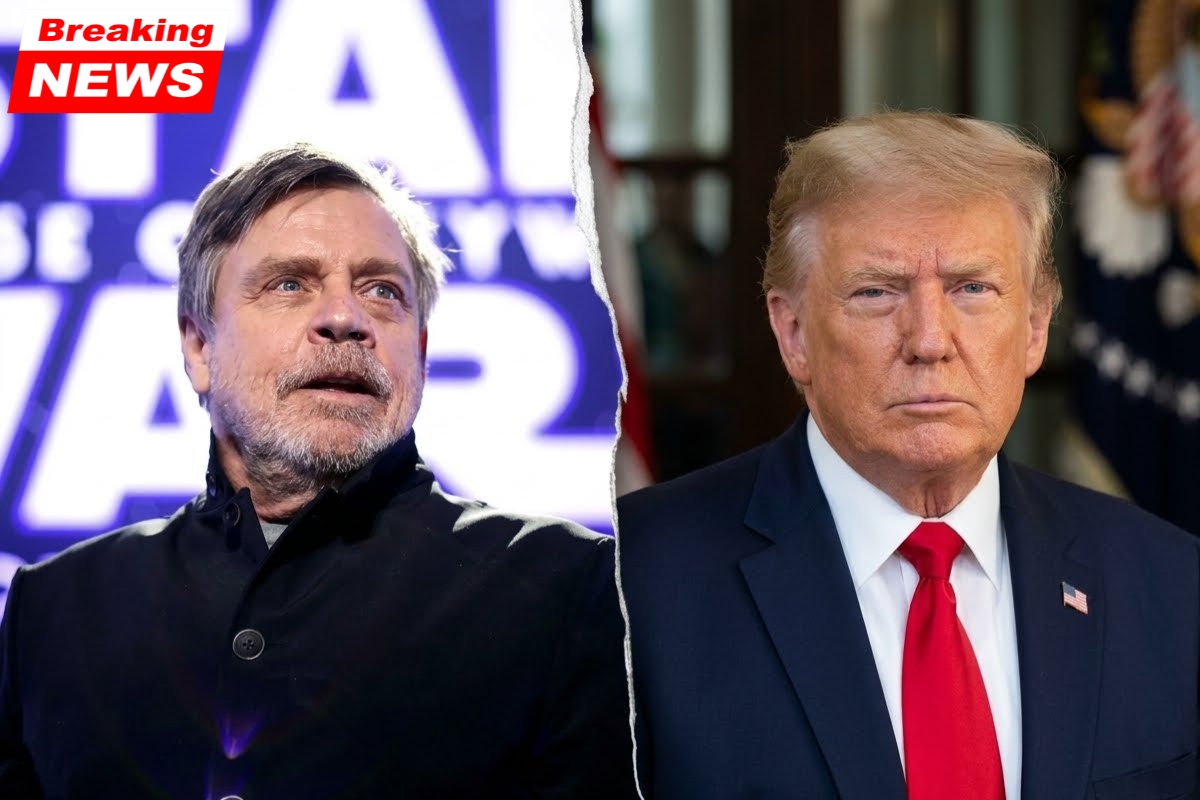 Following Mark Hamill's headstone post, an evolutionary psychologist warns that America is dying from 'suicidal empathy'