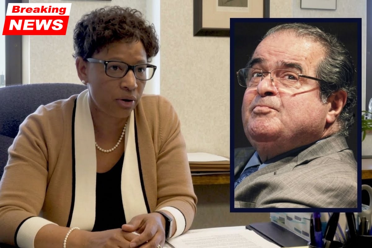 Has to be fully investigated': A former Scalia clerk and ethics expert are called in by a federal court to investigate a DOJ lawyer's "lack of candor" that put the judge in danger