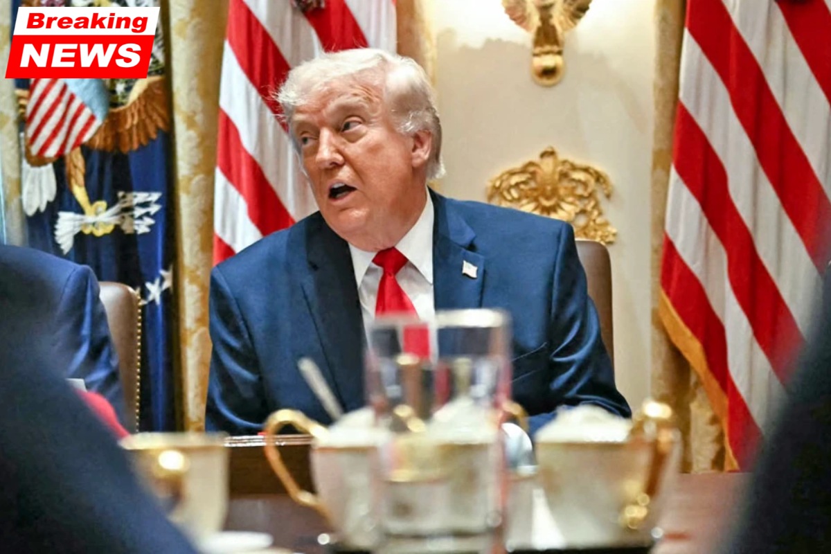 President Trump again disparages Somali immigrants 'They are all crooks.'