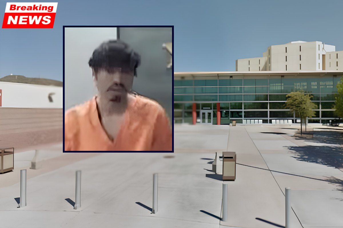 Previously attempted to kill Man strangled girlfriend while her mother watched on FaceTime, police say