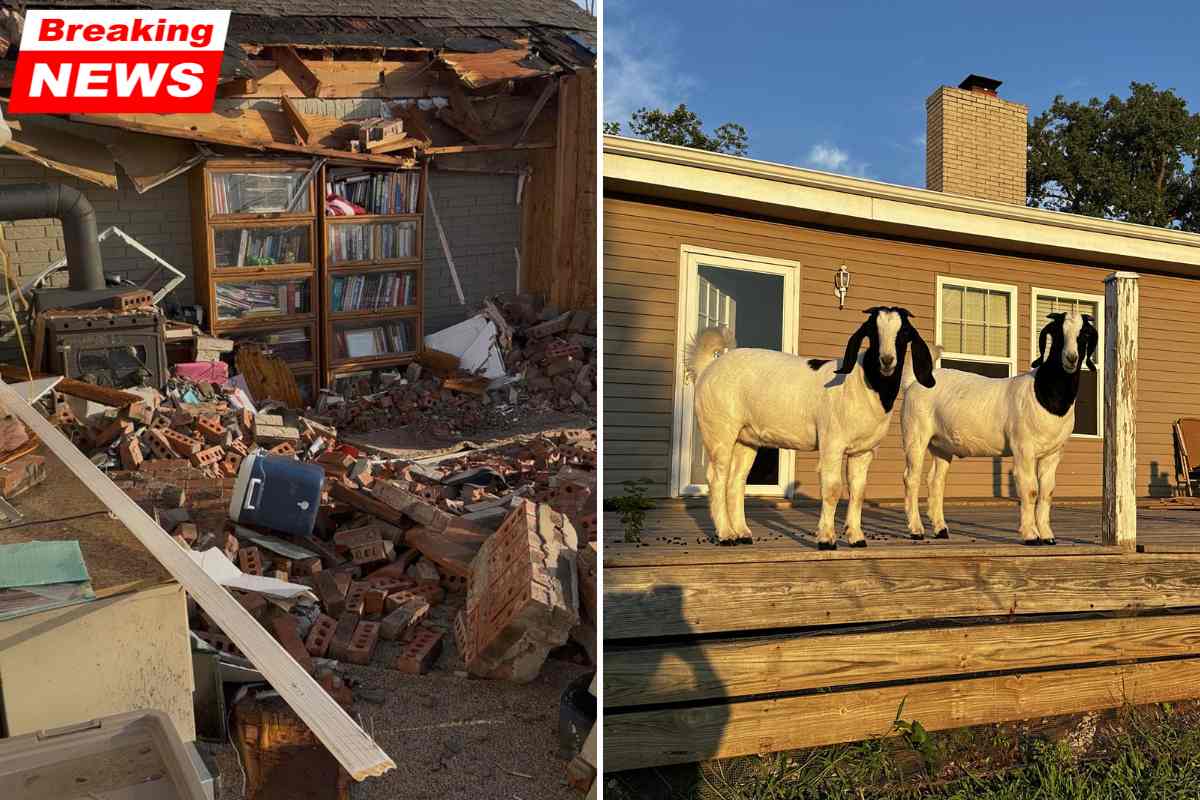 Rescuers located an Oklahoma family trapped beneath tornado debris with the aid of two pet goats