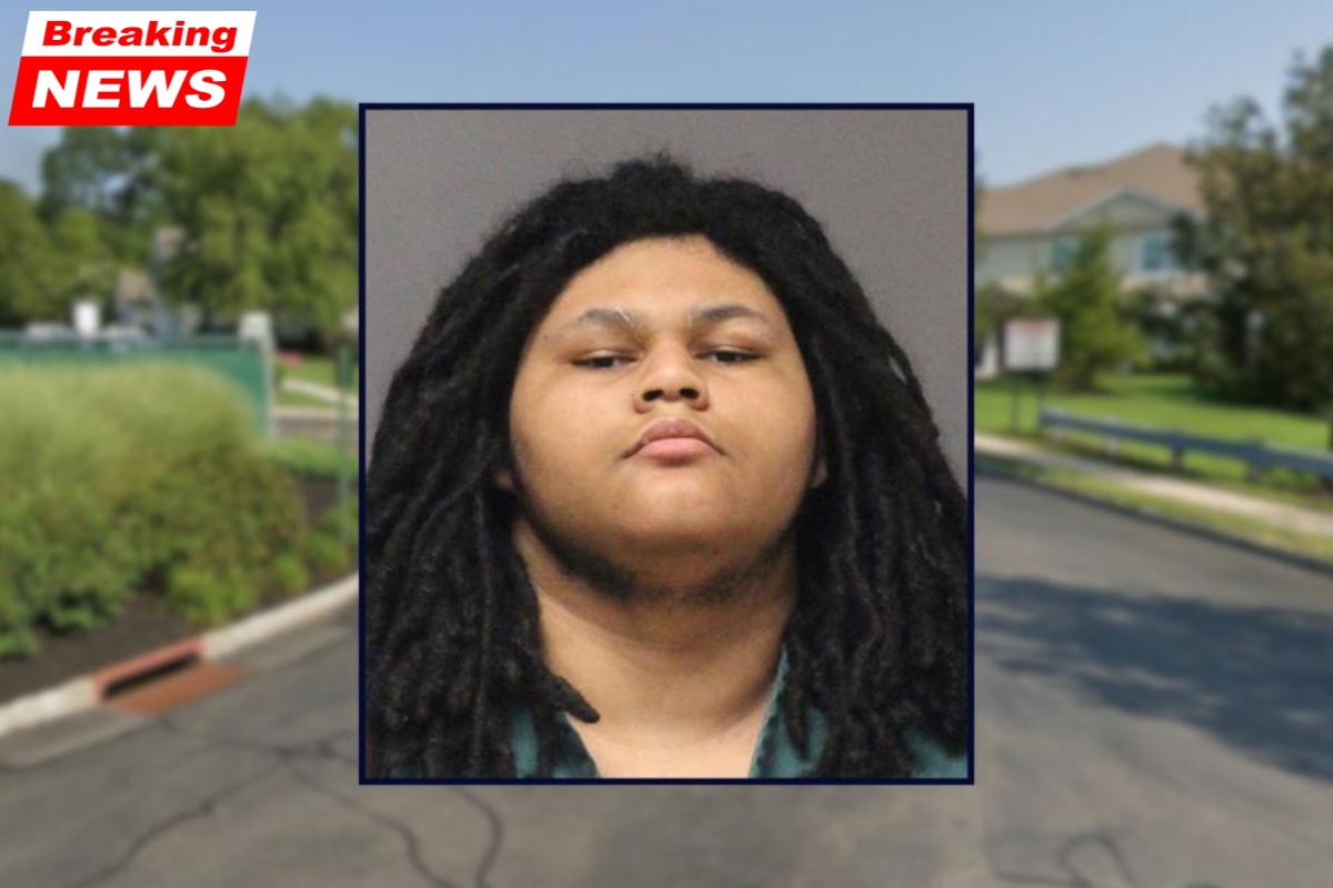 Somebody was murdered': In a chilling 911 call, a teenager casually admits to killing his grandmother, who was found with knives 'protruding' from her face and neck