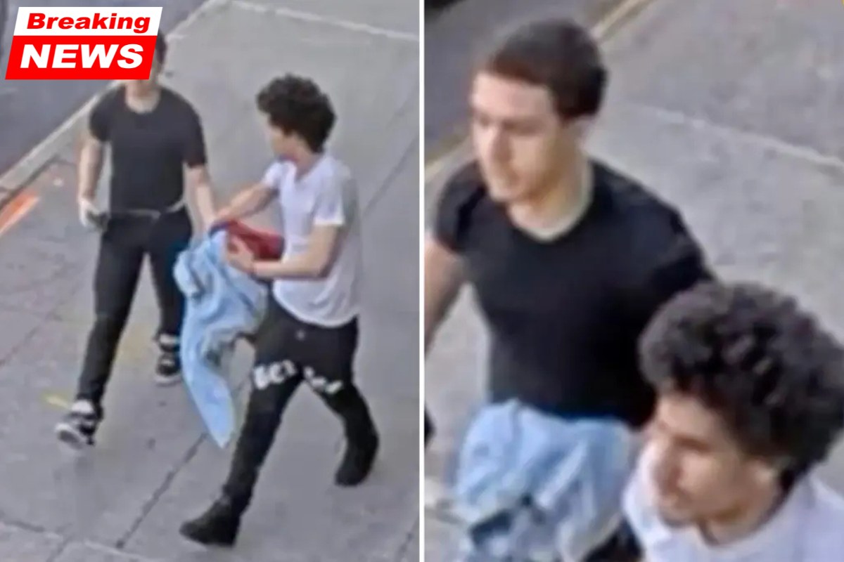 Sweater-swapping thugs who shot up a playground in NYC are being sought by the NYPD