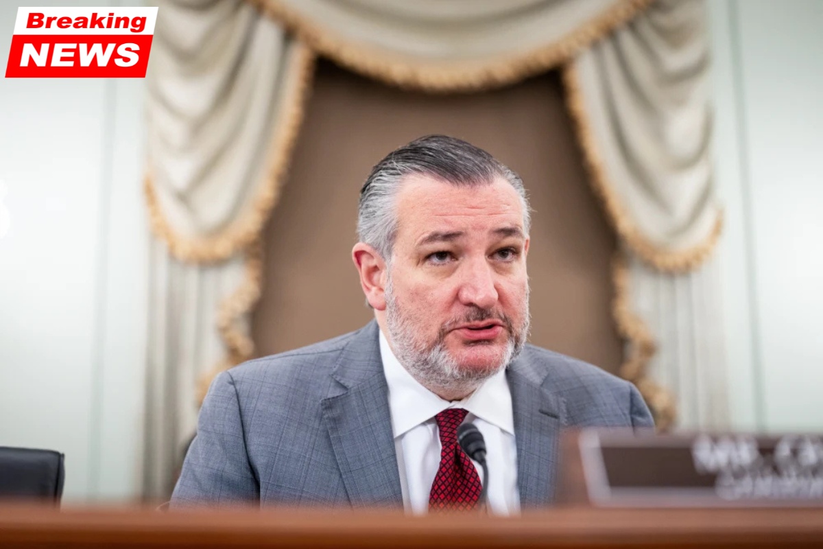 Ted Cruz claims that during the "anti-weaponization" fund briefing, GOP senators were "screaming" at Todd Blanche