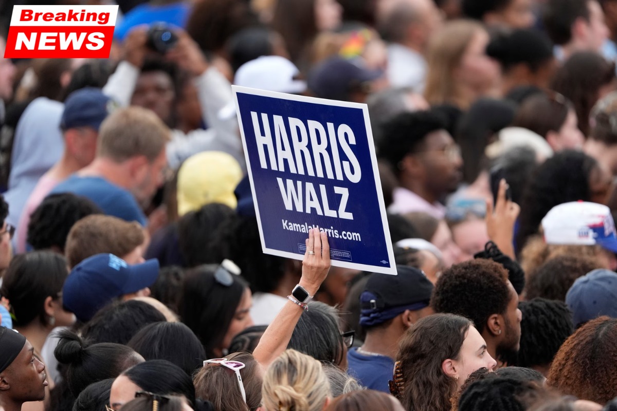 The Biden campaign is blamed by Democrats' 2024 election autopsy for not setting up Harris