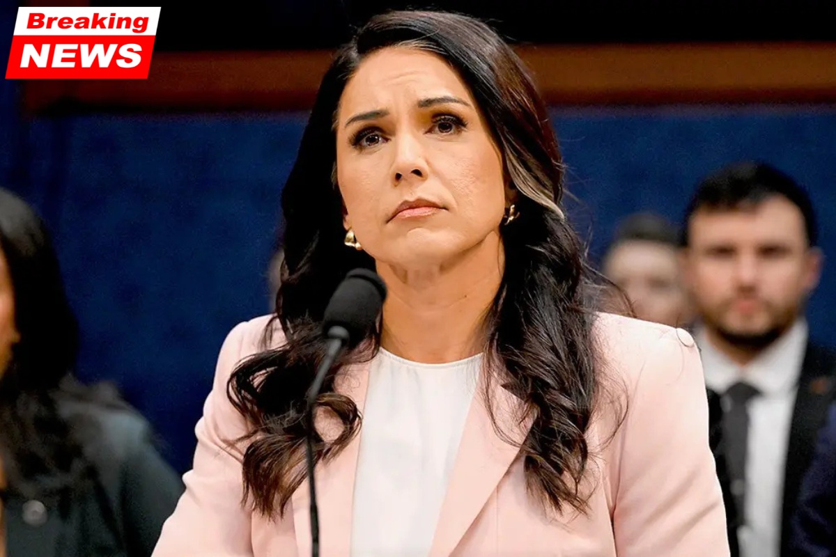 The media and Democrats' "disgusting" reaction to Tulsi Gabbard's resignation as DNI incites outrage