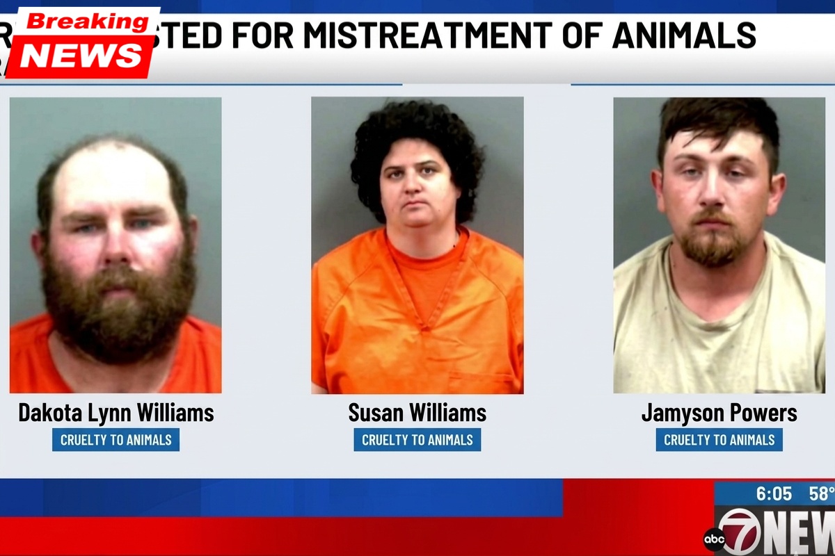 Three people from Rush Springs were detained after about twenty malnourished and one dead dogs were discovered