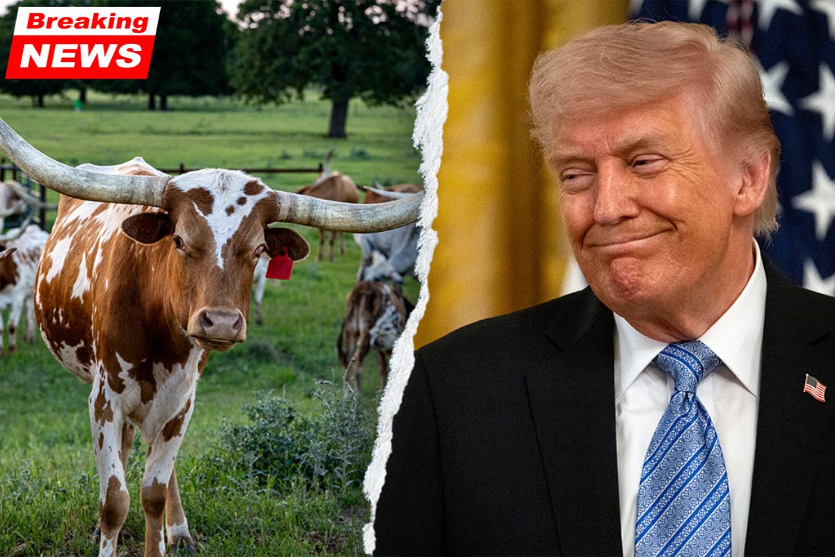 Trump criticizes a Democratic candidate in Texas for being unfit to be elected due to a cardinal sin